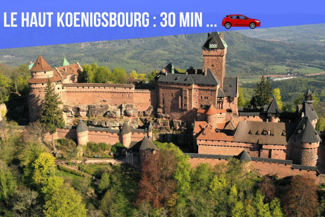 Apartment Le Red St Leon : Lit Queen Size * Wifi * Ideal Couple Colmar