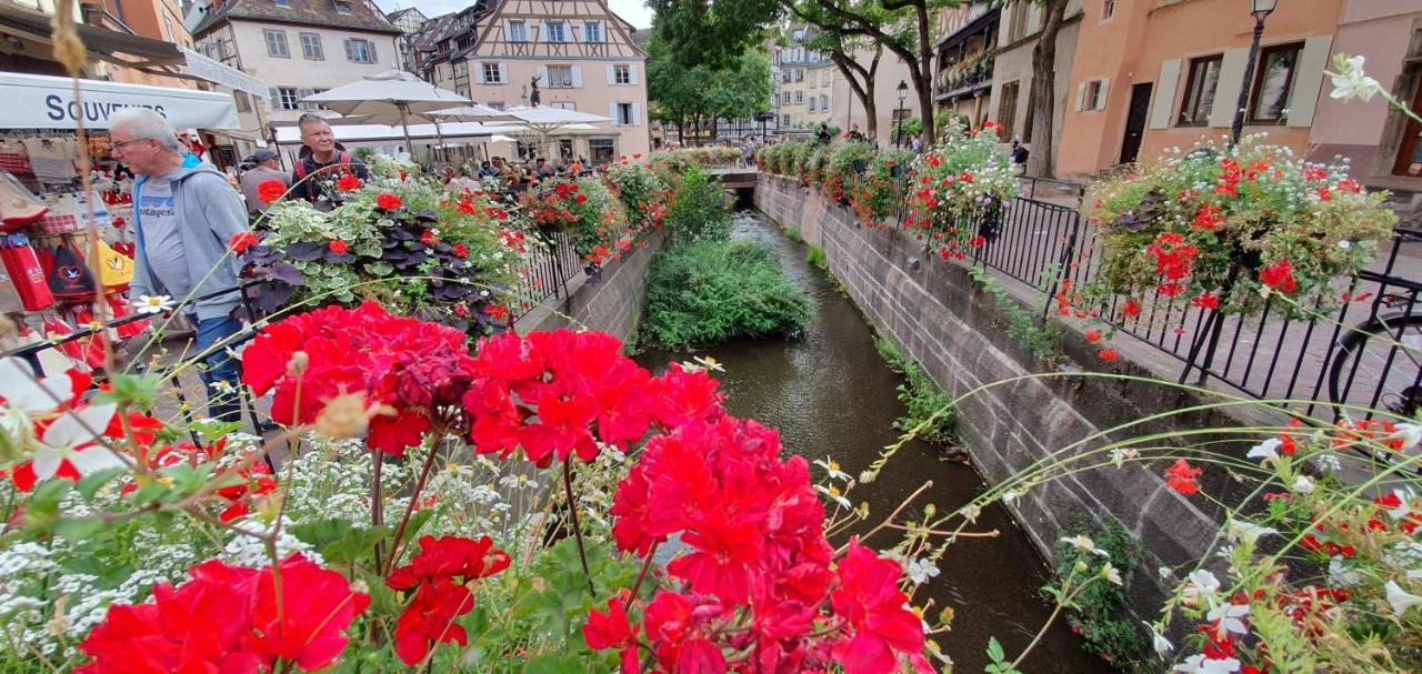 Le Red St Leon : Lit Queen Size * Wifi * Ideal Couple Apartment Colmar